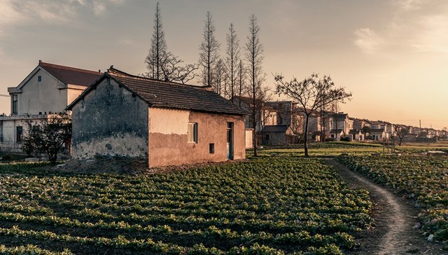 城镇户籍子女可继承农村宅基地使用权，如何行使和转让尚需明确