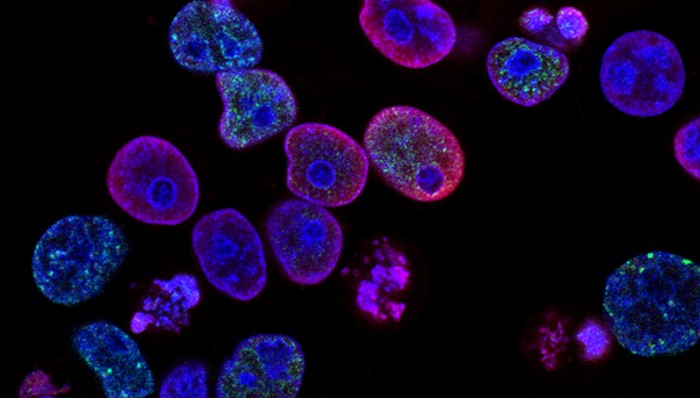 首个脑科学实验室落户上海华山医院，脑机接口等关键技术已部分赶超Neuralink