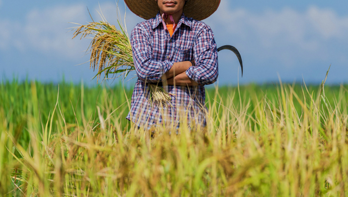投资理财,巴菲特,投资理念