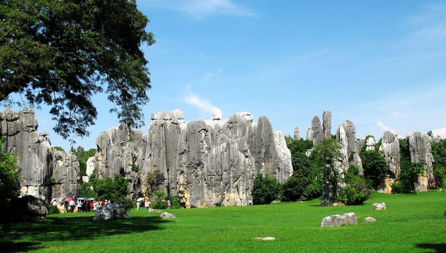 这么多人出游，景区上市公司第三季度业绩复苏了没？