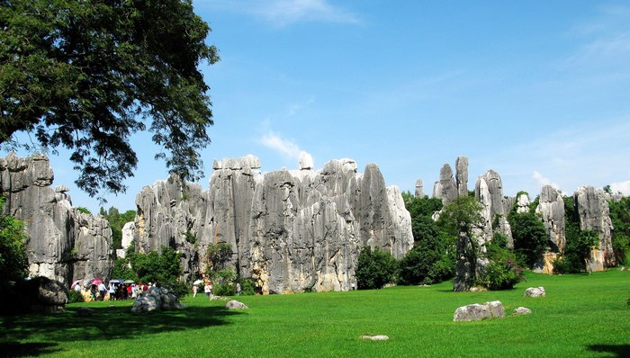 这么多人出游，景区上市公司第三季度业绩复苏了没？