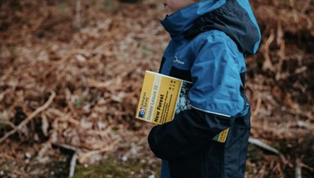 教育,投资,消费