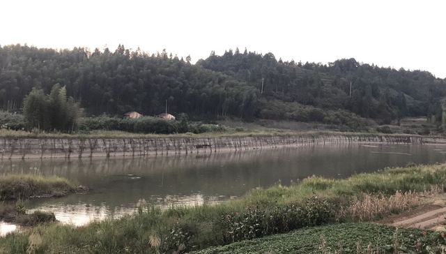 举报竞争对手招标涉嫌造假后获取30万元补助，4人以敲诈勒索罪被公诉