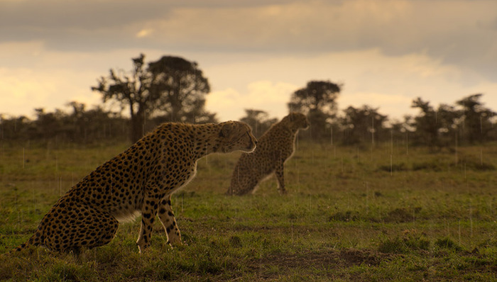 全球变暖,环境,影评,纪录片