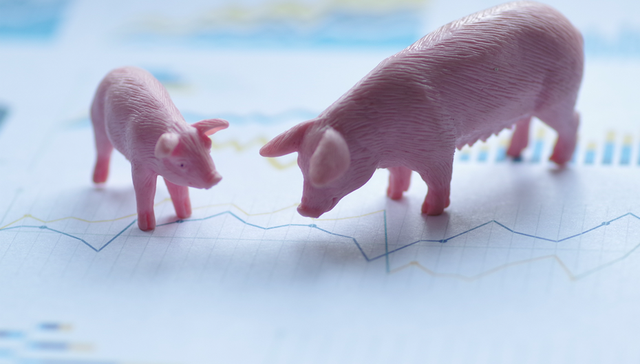 猪肉,正邦科技,猪肉概念,双汇发展,海大集团,立华股份,正邦科技,新希望,三季报,三季度,业绩,生猪