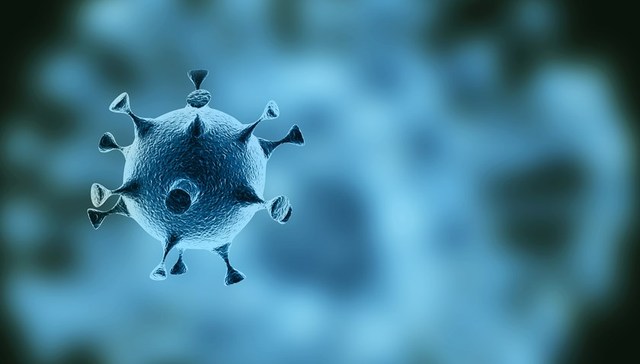 北京新发地市场病毒来自何方？研究：极有可能是冷链进口食品