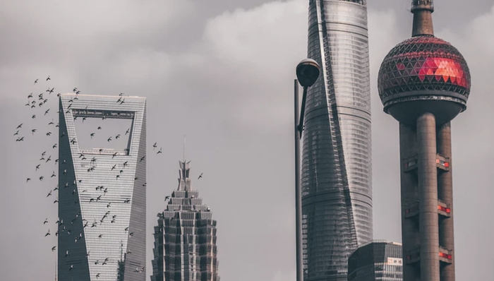 城市推介大会，上海推介，营商环境