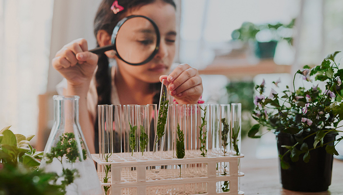 全球变暖,科学,环境保护,教育体制,可持续发展,科普