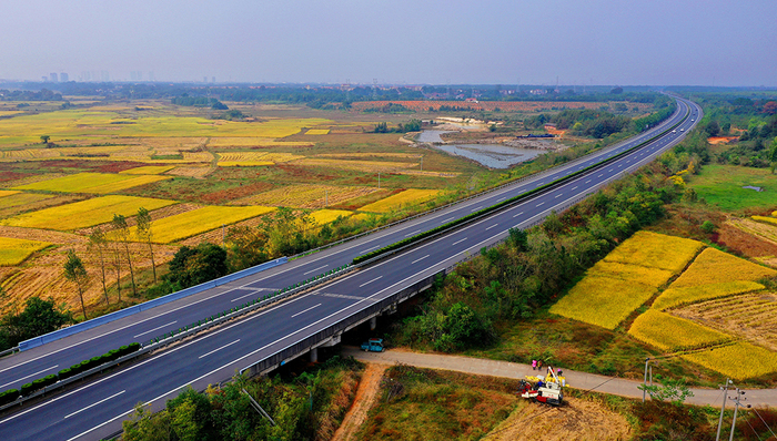 哪些省的高速公路财务风险高？