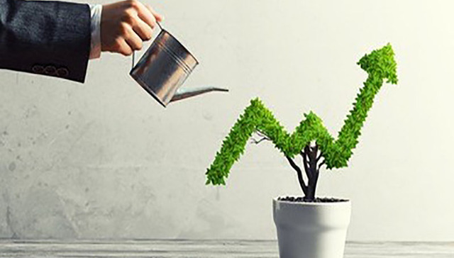 赵老哥,华友钴业