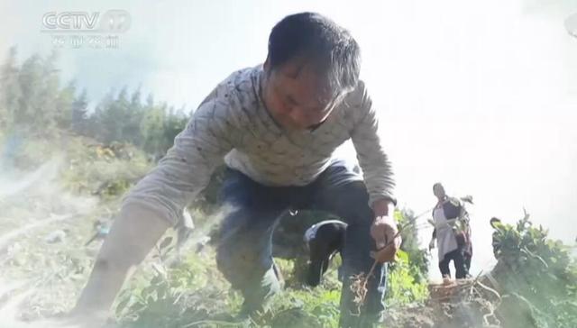 遍地英雄,夕烟,陈耀平,阿热兰干村,致敬,安身立本,强大力量,2019年,扶贫办,人民群众