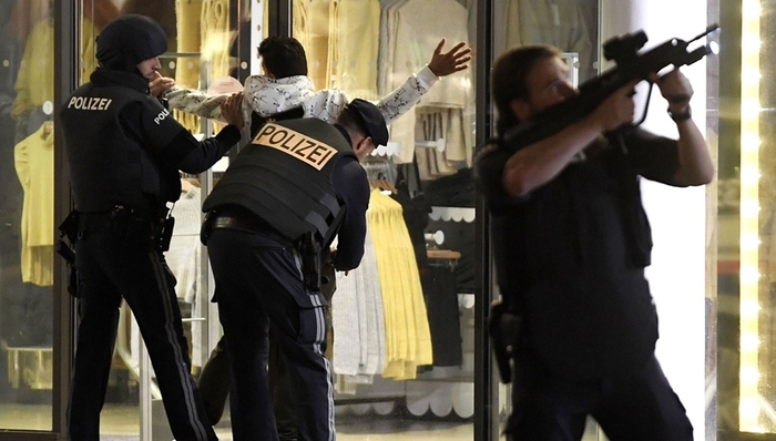 维也纳,恐袭,搜捕