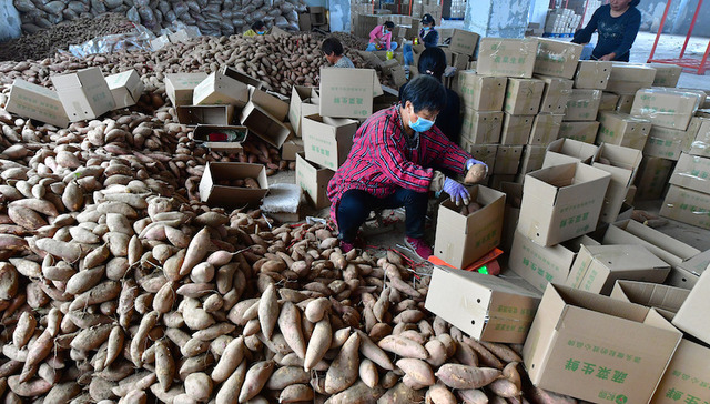 双十一,电商,平台,小微企业,小微电商,监管,网店,创业,电子商务法,网络交易监管