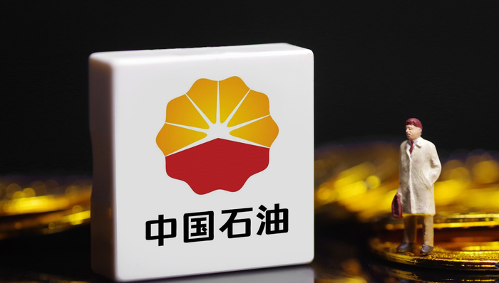 中石油，进口博览会，国际石油公司，油气资源