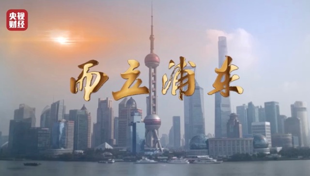 而立浦东,纪录片,浦东开发开放,30周年