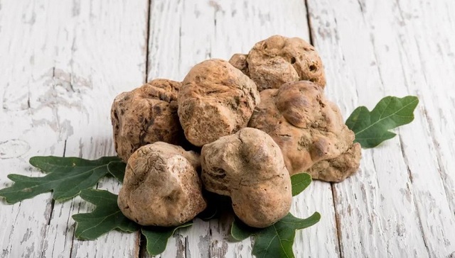 白松露赏味期到了，圣诞季绚丽的红绿礼盒也上市了 | 美食情报