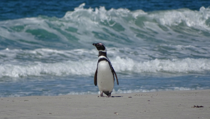 腾讯,商业模式,业绩