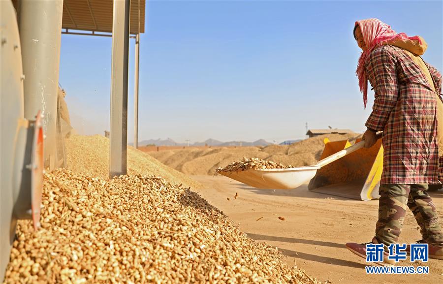 （全面建成小康社会“百城千县万村调研行”·图文互动）（1）辽宁义县：“三变”改革“变”出强村富农新天地