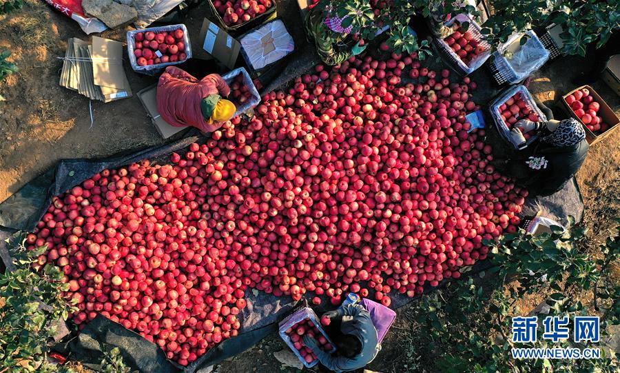 （全面建成小康社会“百城千县万村调研行”·图文互动）（6）辽宁义县：“三变”改革“变”出强村富农新天地