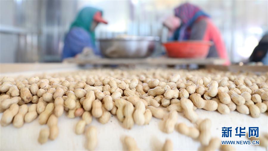 （全面建成小康社会“百城千县万村调研行”·图文互动）（4）辽宁义县：“三变”改革“变”出强村富农新天地