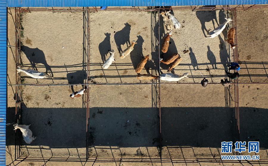 （全面建成小康社会“百城千县万村调研行”·图文互动）（5）辽宁义县：“三变”改革“变”出强村富农新天地