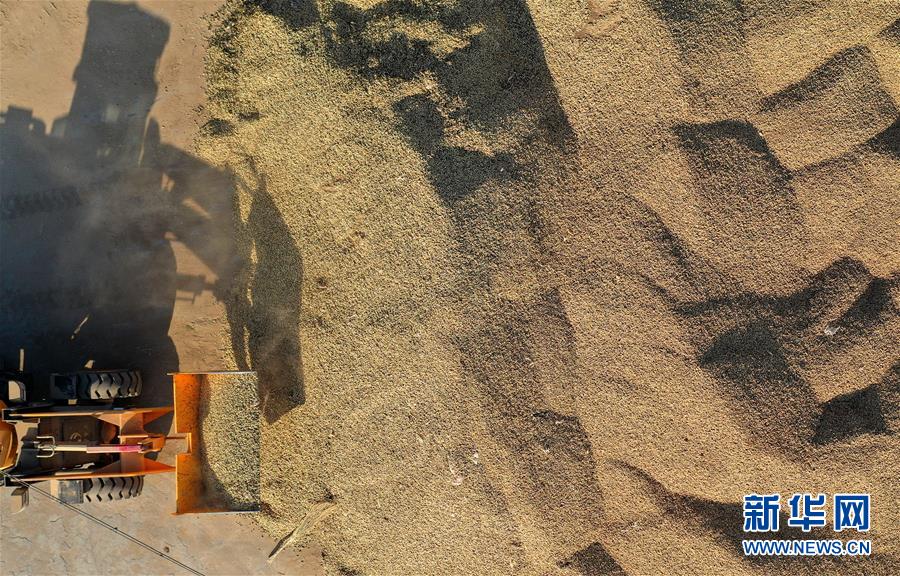 （全面建成小康社会“百城千县万村调研行”·图文互动）（3）辽宁义县：“三变”改革“变”出强村富农新天地