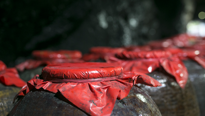 白酒,跌停,龙虎榜,价格限制,游资,机构席位,沪股通,上交所,北上资金,跌停,中金,青青稞酒,伊力特