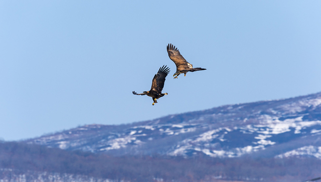 IPO雷达| 云南人都知道的健之佳，或与一心堂陷入“缠斗”