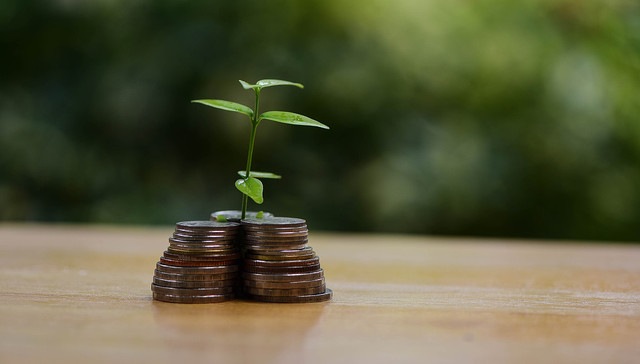 “打酱油”的隐形大亨和一群富豪高管