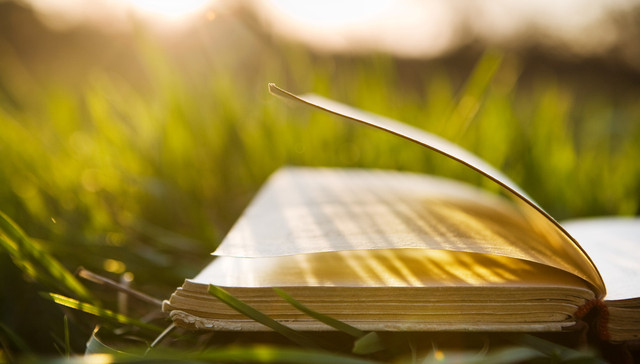 惠特曼与《草叶集》：“我设计的是未来的历史”| 一诗一会