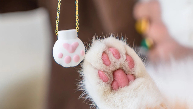 猫咪为什么成为了品牌的营销利器？