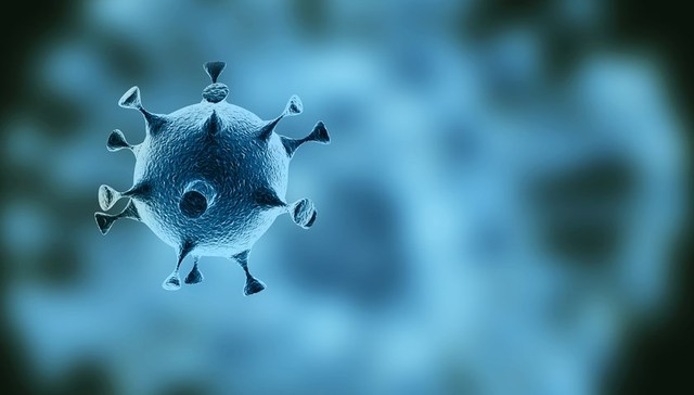 天津发现感染者之间病毒序列关联，满洲里开始全员核酸检测