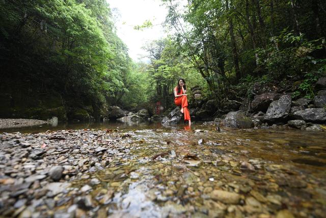 温州A级景区集合，有的闻名四海有的鲜为人知，收藏起来去打卡