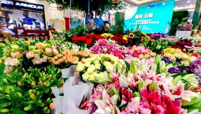 长三角文博会云南分场走进沪上商圈，上海扶贫从“输血”转向“造血”