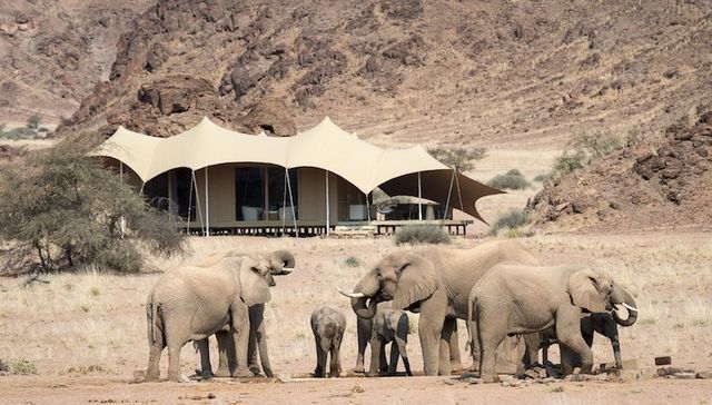 一周旅行指南 | 璞富腾推出新品牌 Beyond Green，京雅堂携手大道造物推出“福禄金秋”限季菜单