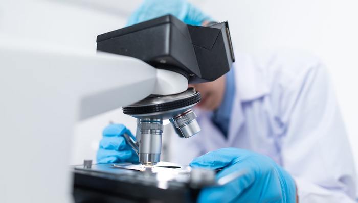 预览,收录,研发中心,点击,外资,全文,新规,原文,一篇,文件