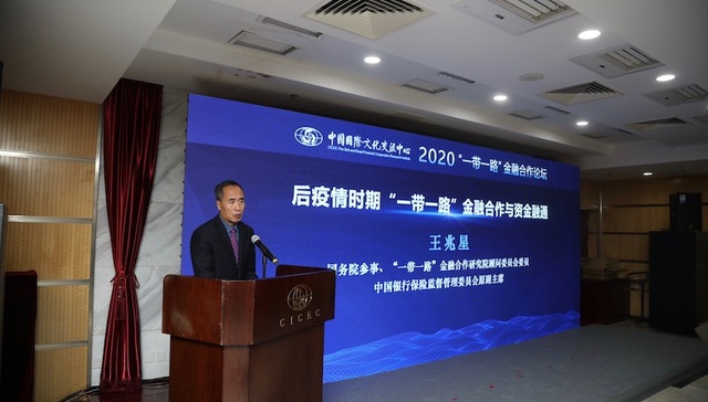 国务院参事：疫情导致“一带一路”国家主权信用风险上升