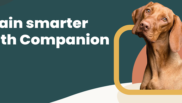 人工智能,宠物经济,宠物训练机