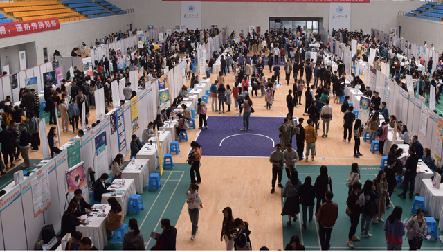 二本,校招,创业