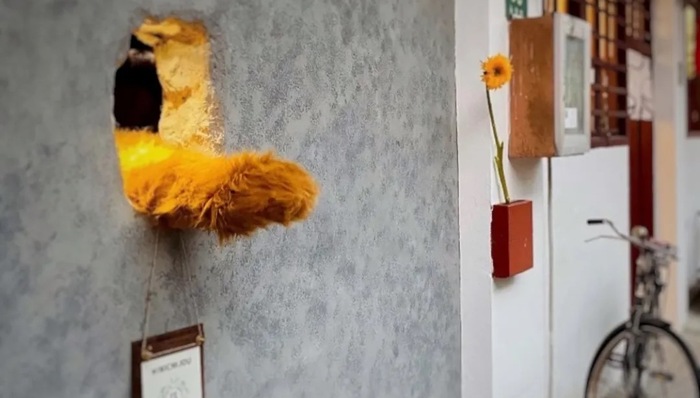 今天被这只“熊爪”治愈了