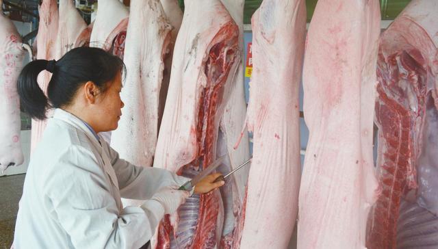 杀猪盘,诈骗,婚恋