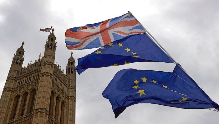 捕鱼,公平竞争,协议,单一市场,过渡