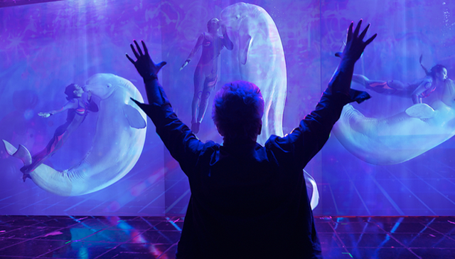 旅游产业,上市公司,大连圣亚,股价闪崩