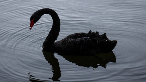 【深度】仁东控股崩盘，谁是幕后庄家？