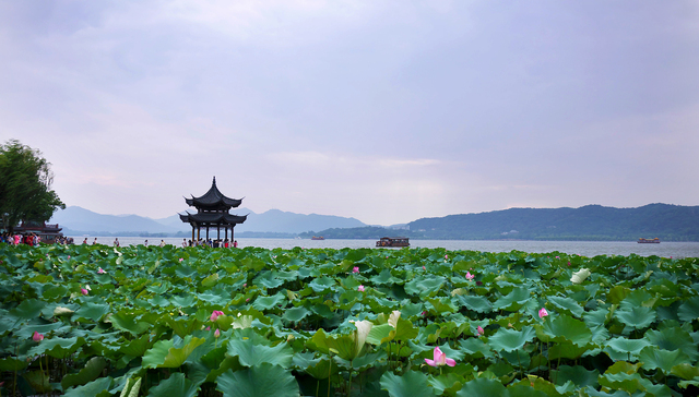 逃离“北上广”，杭州会是年轻人下一个梦想之地吗