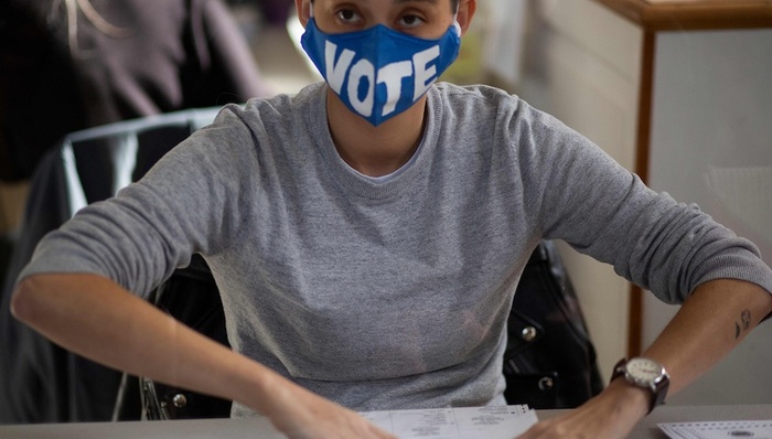 诉讼,邮寄选票,安全港,选举人,分裂,败选