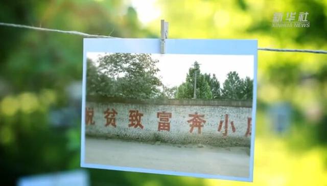 云岭,学生生活费,贫困家庭,贫困人口,扶贫办,群众增收,陈锦,十三五,清零,贫困户