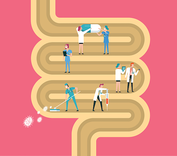 食品,创新,益生菌,后生元