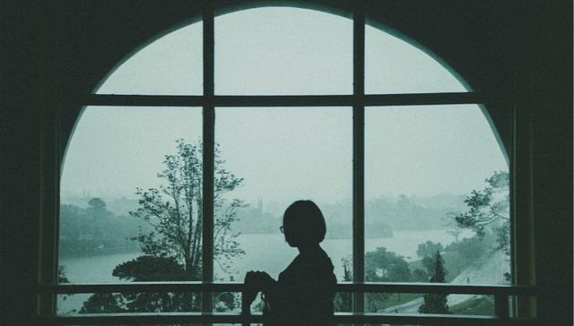 社交网络,诈骗,杀猪盘