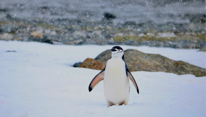 腾讯,to,B,产业互联网